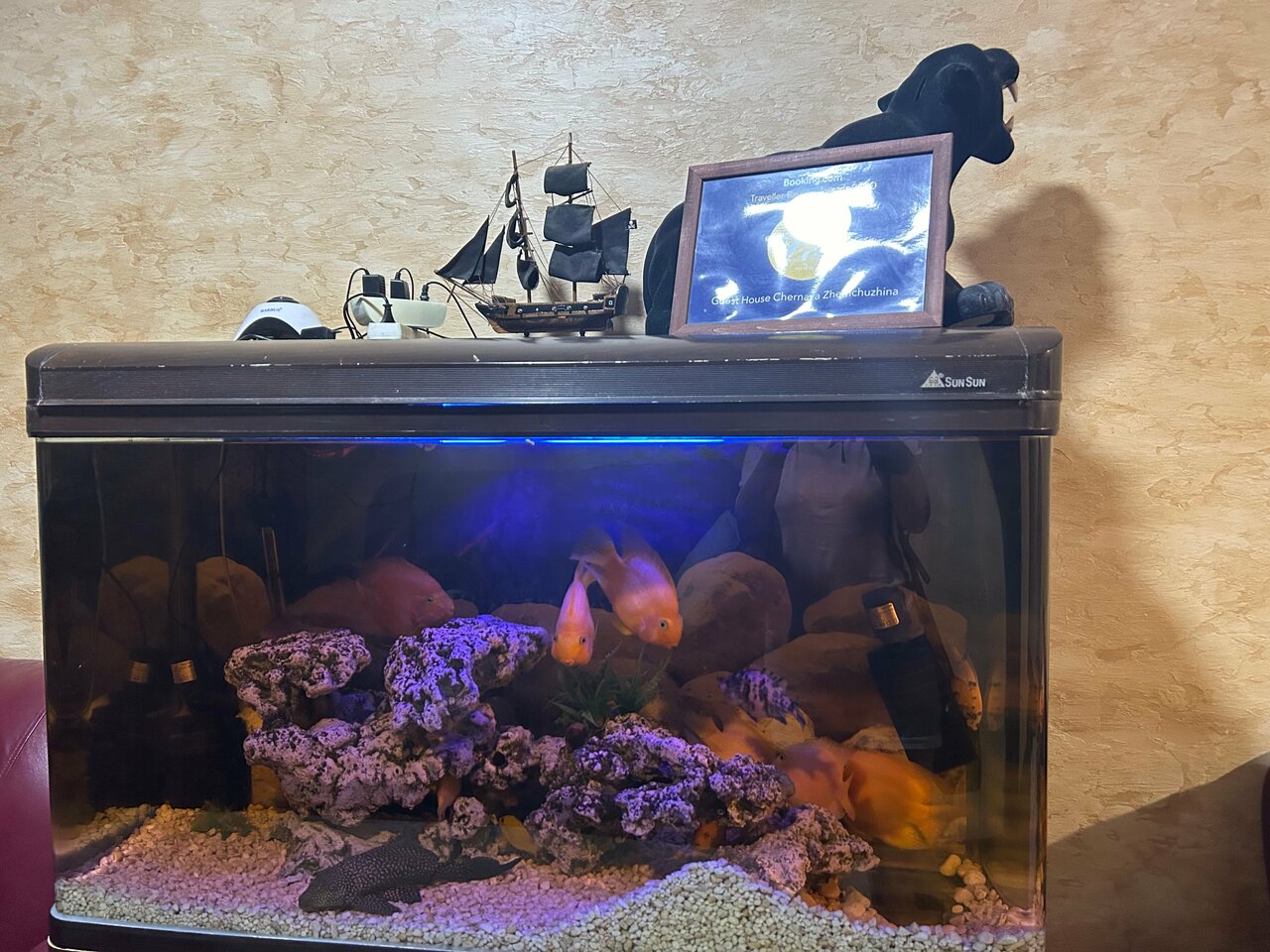 Гостиница Черная жемчужина Аксай-52