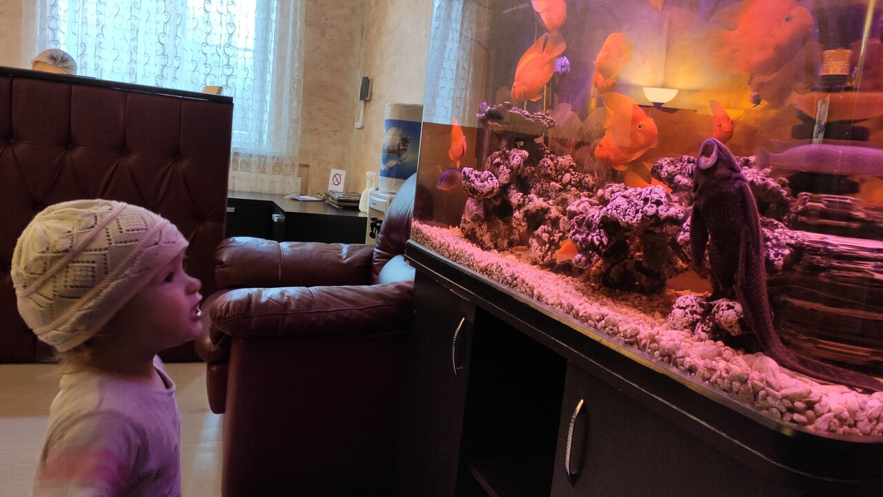 Гостиница Черная жемчужина Аксай-75